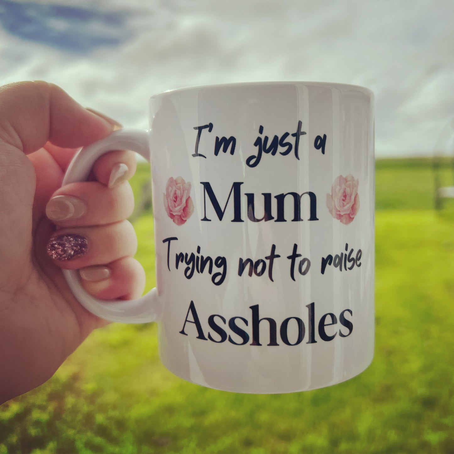 I’m just a Mum trying not to raise A$$holes