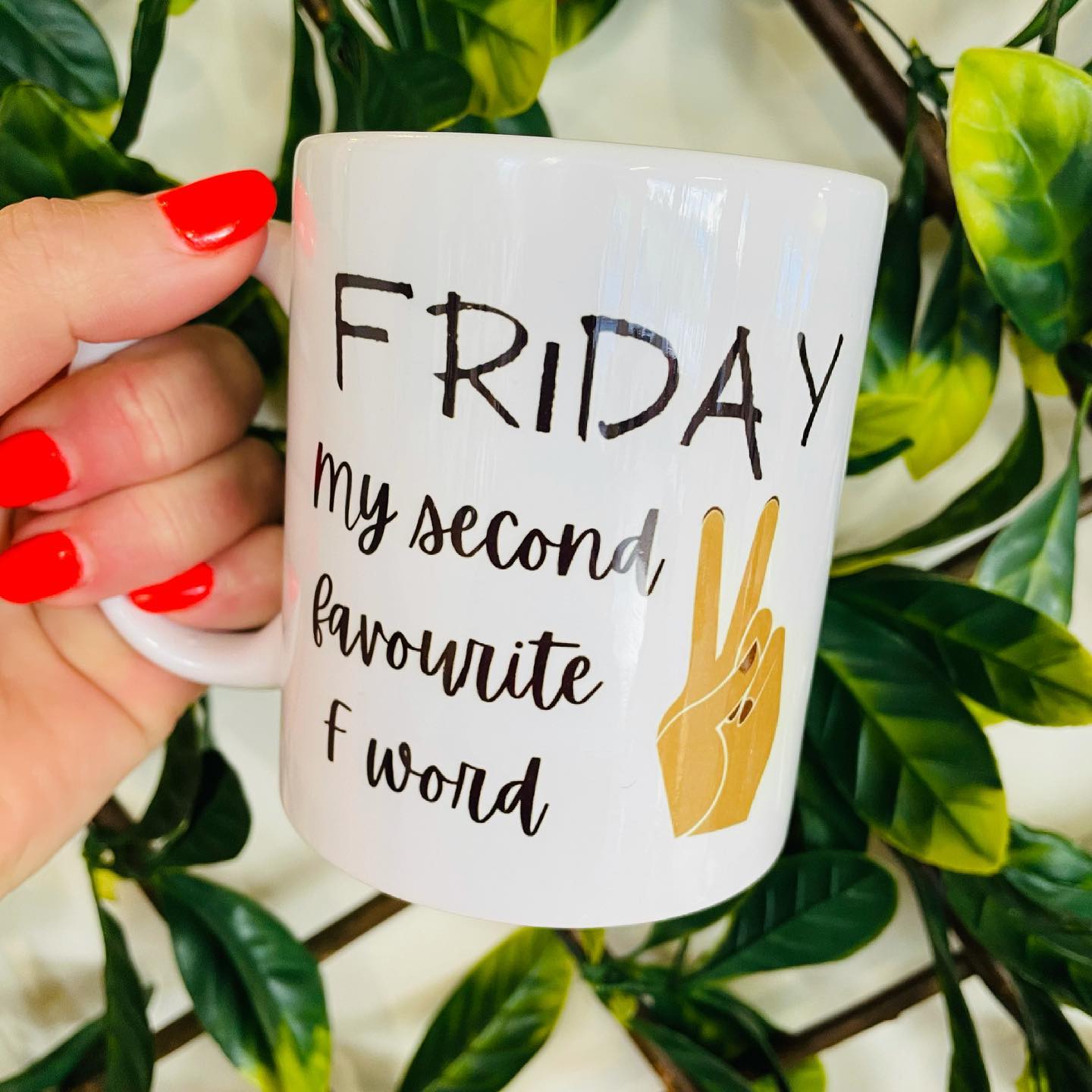 Friday, My Second Favourite F Word Mug